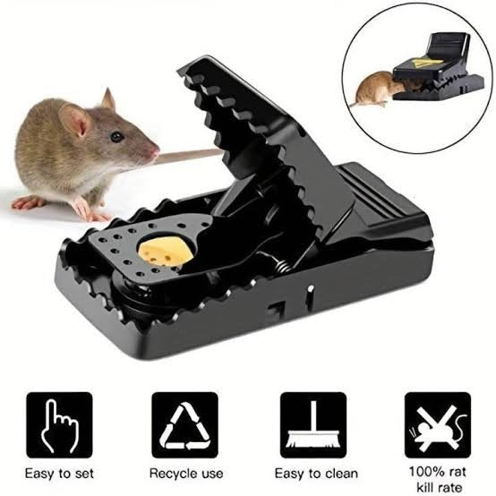 Plastic Mouse Trap