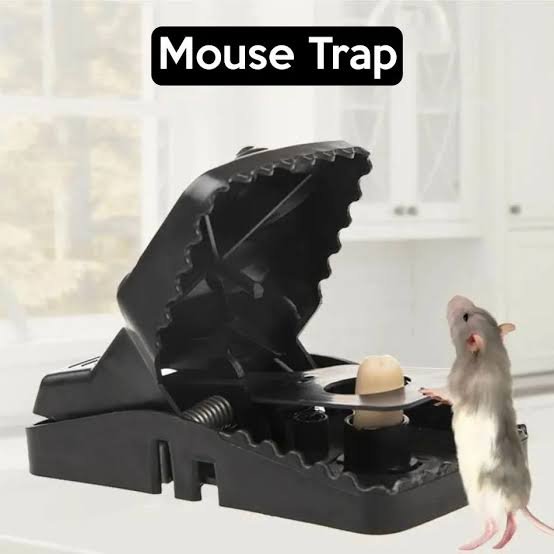 Plastic Mouse Trap