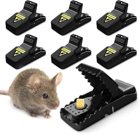Plastic Mouse Trap